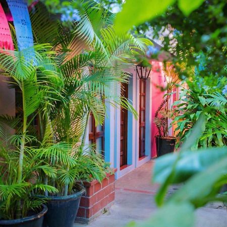 Hotel Las Golondrinas Oaxaca 外观 照片