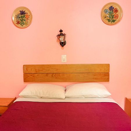 Hotel Las Golondrinas Oaxaca 外观 照片