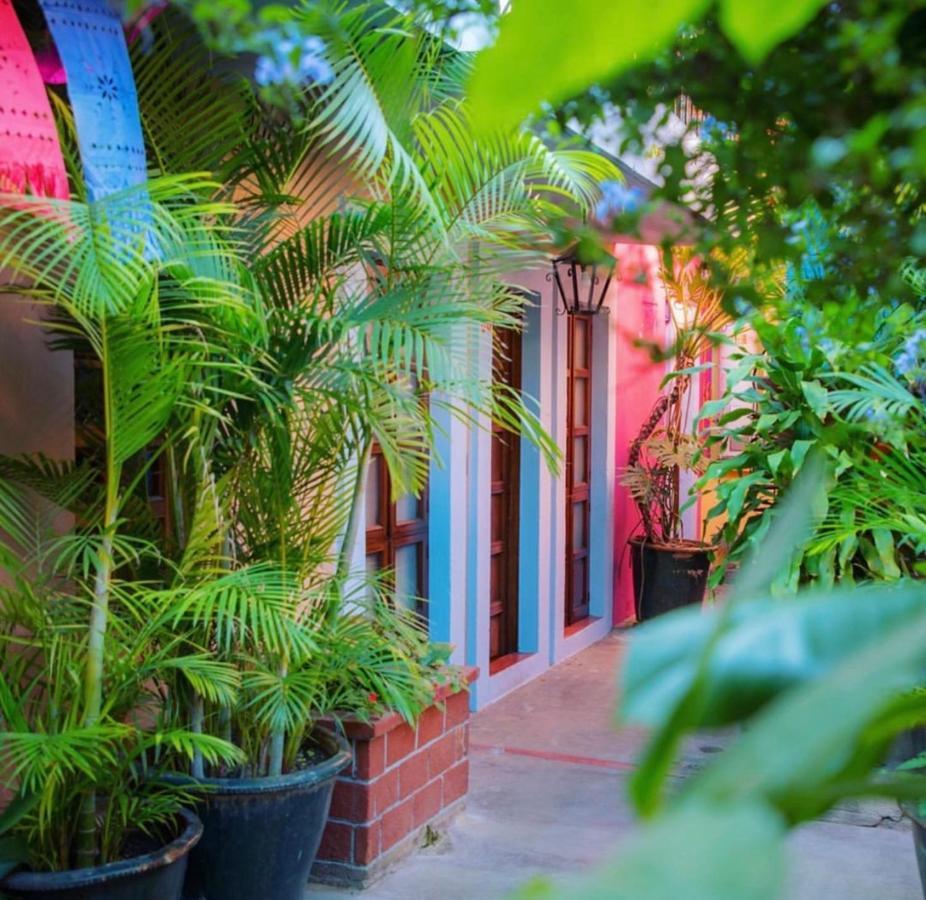 Hotel Las Golondrinas Oaxaca 外观 照片
