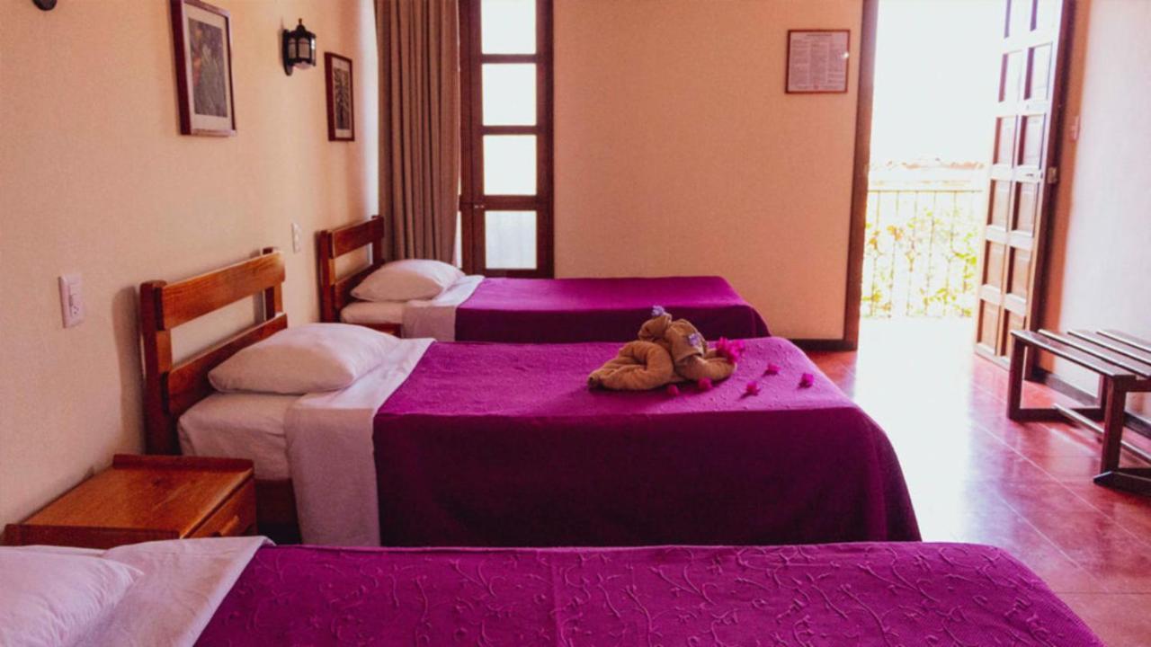 Hotel Las Golondrinas Oaxaca 外观 照片