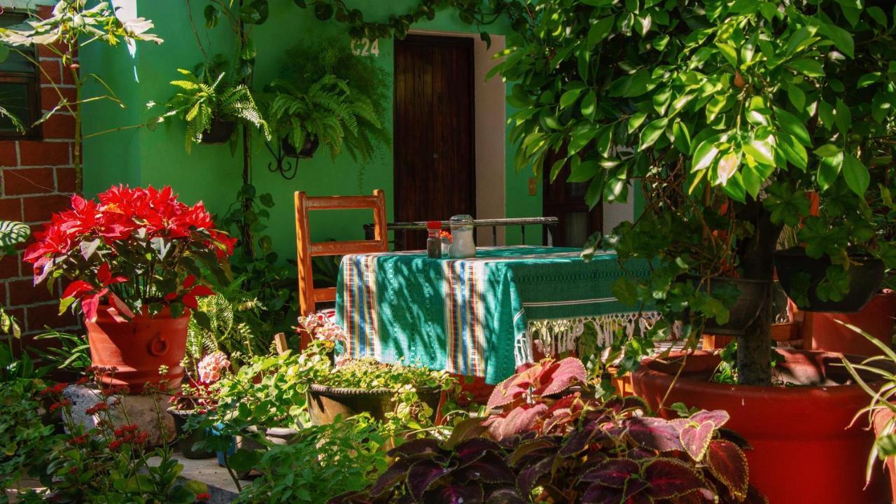 Hotel Las Golondrinas Oaxaca 外观 照片