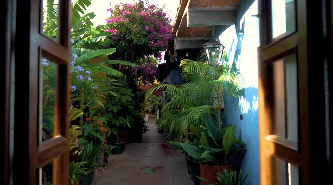 Hotel Las Golondrinas Oaxaca 外观 照片