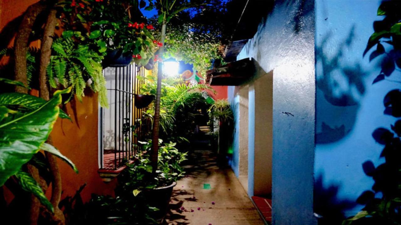 Hotel Las Golondrinas Oaxaca 外观 照片
