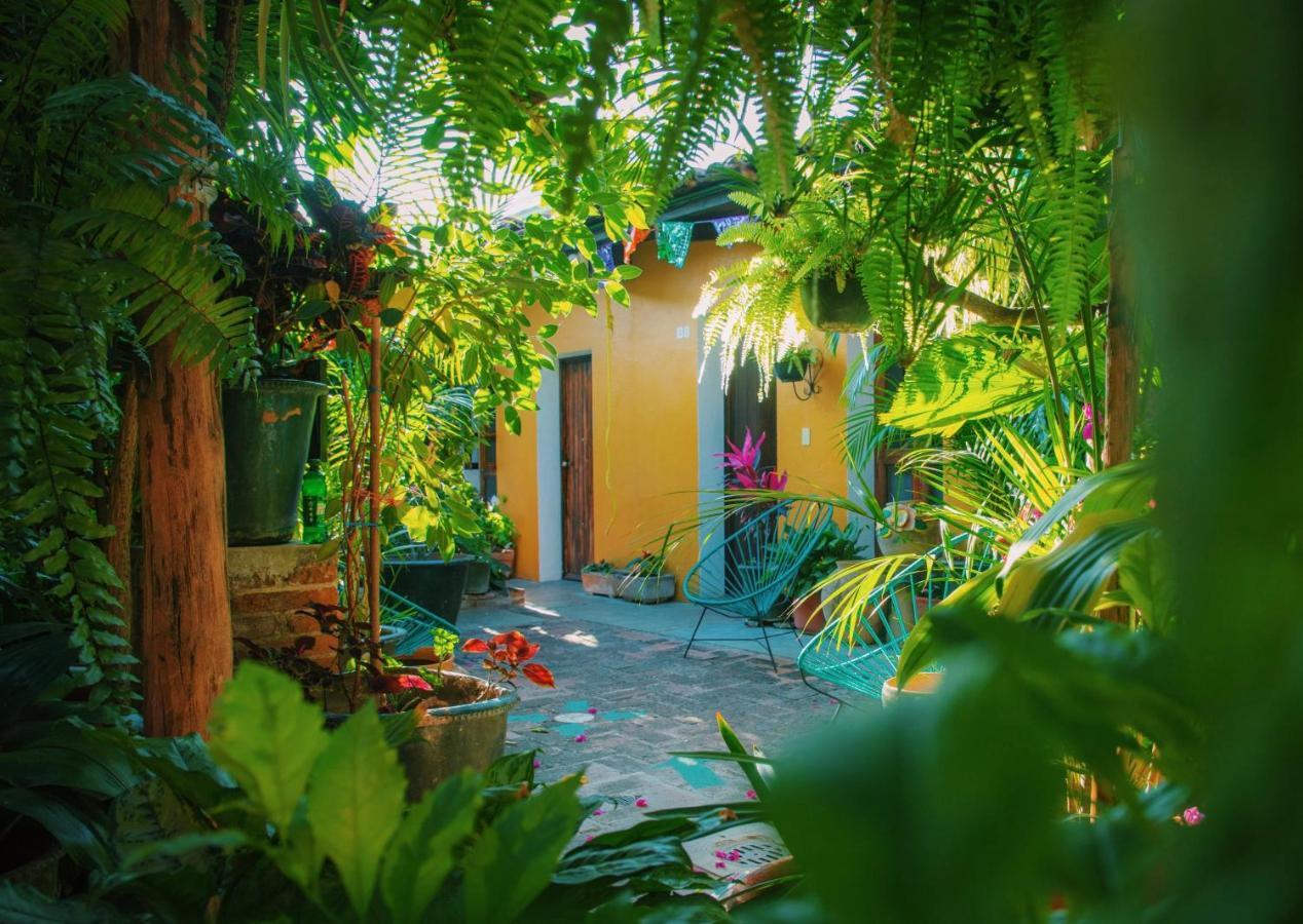 Hotel Las Golondrinas Oaxaca 外观 照片