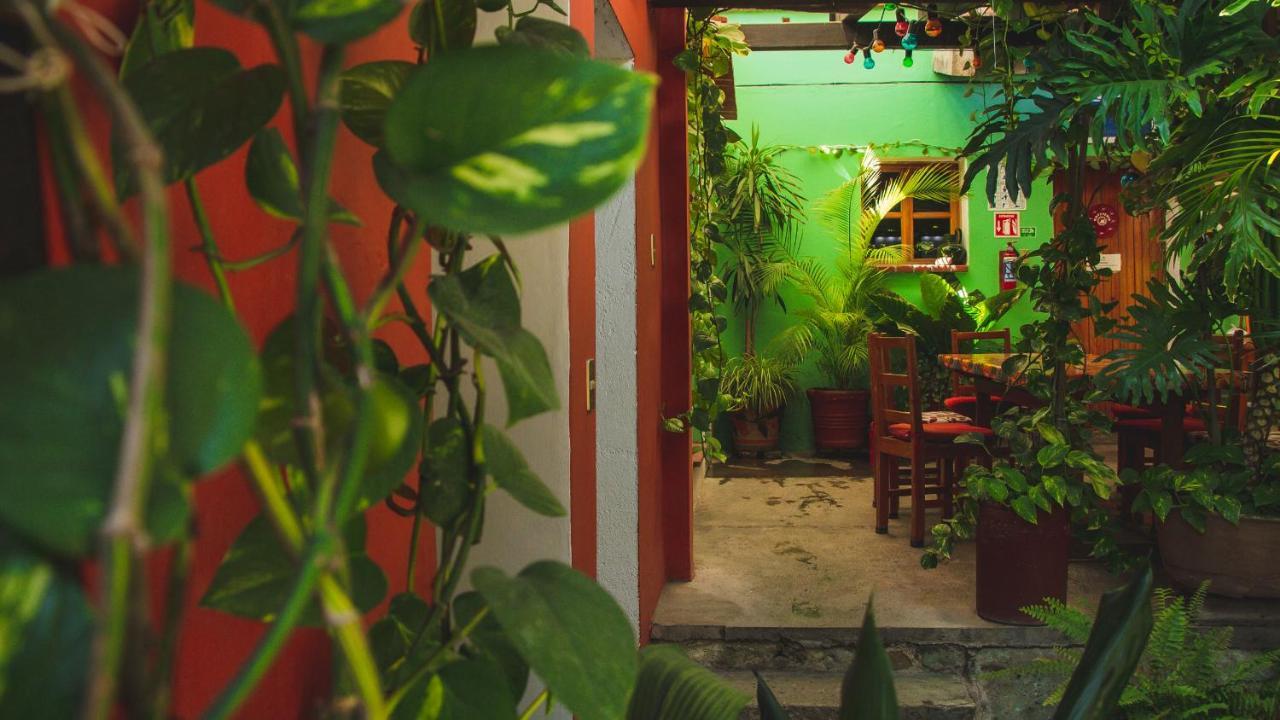 Hotel Las Golondrinas Oaxaca 外观 照片