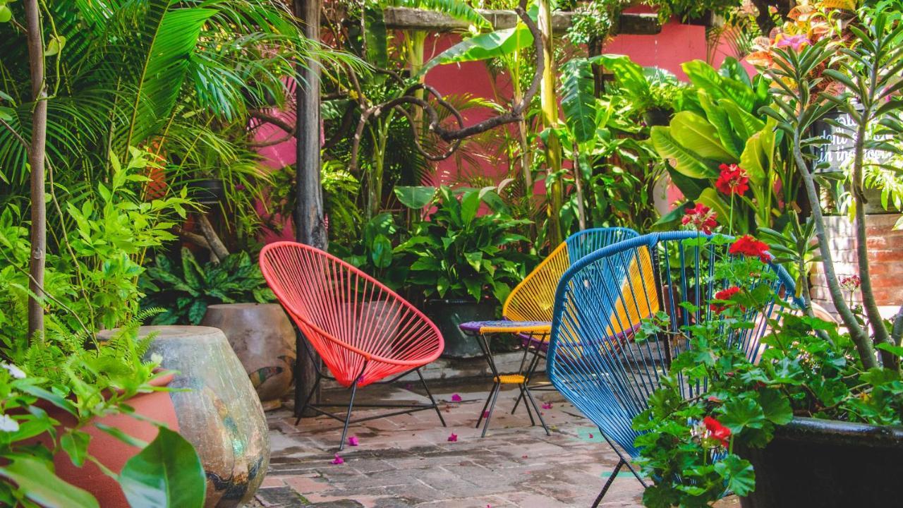 Hotel Las Golondrinas Oaxaca 外观 照片