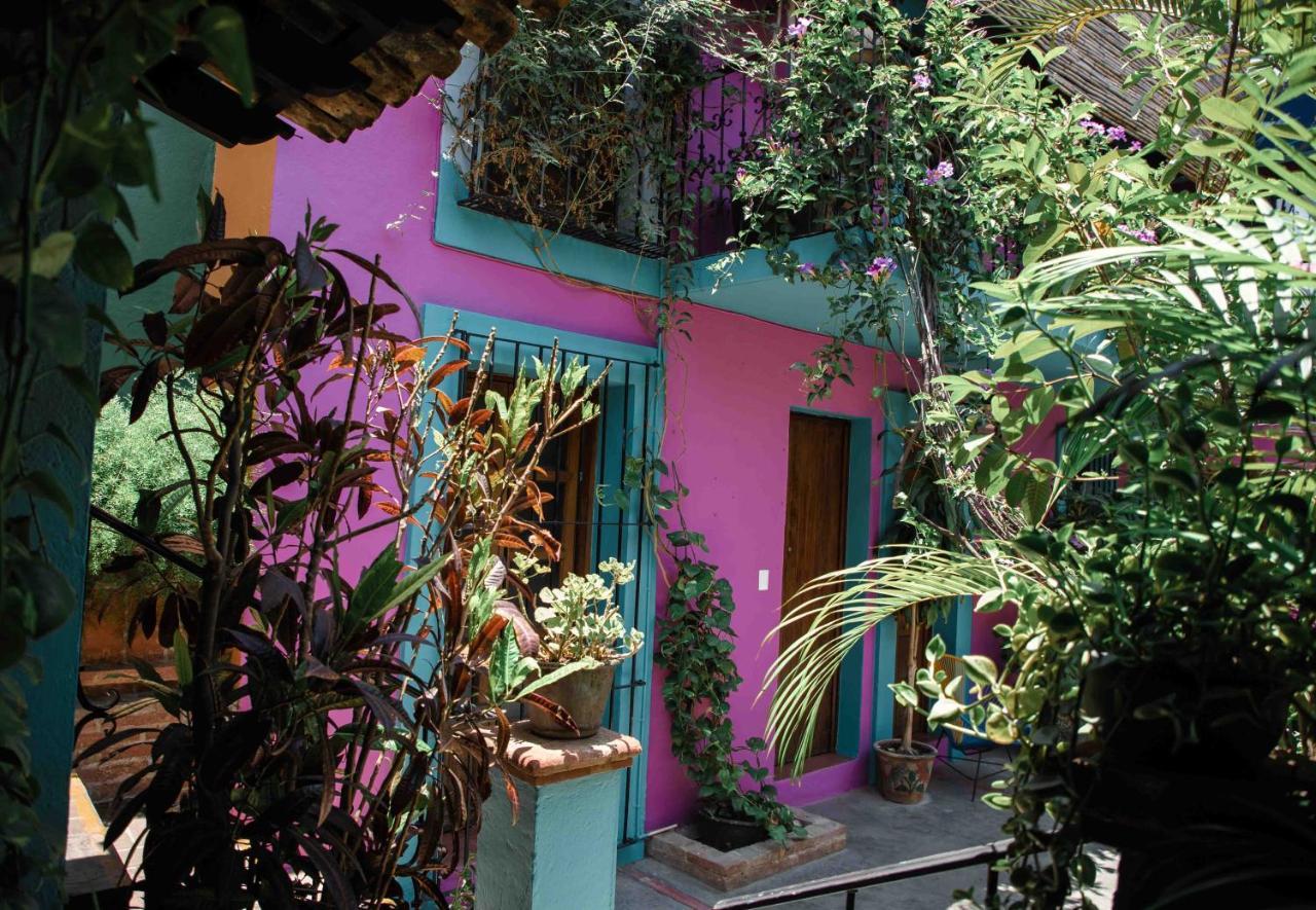 Hotel Las Golondrinas Oaxaca 外观 照片