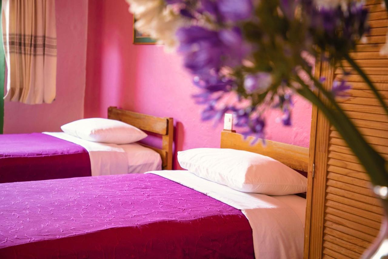 Hotel Las Golondrinas Oaxaca 外观 照片