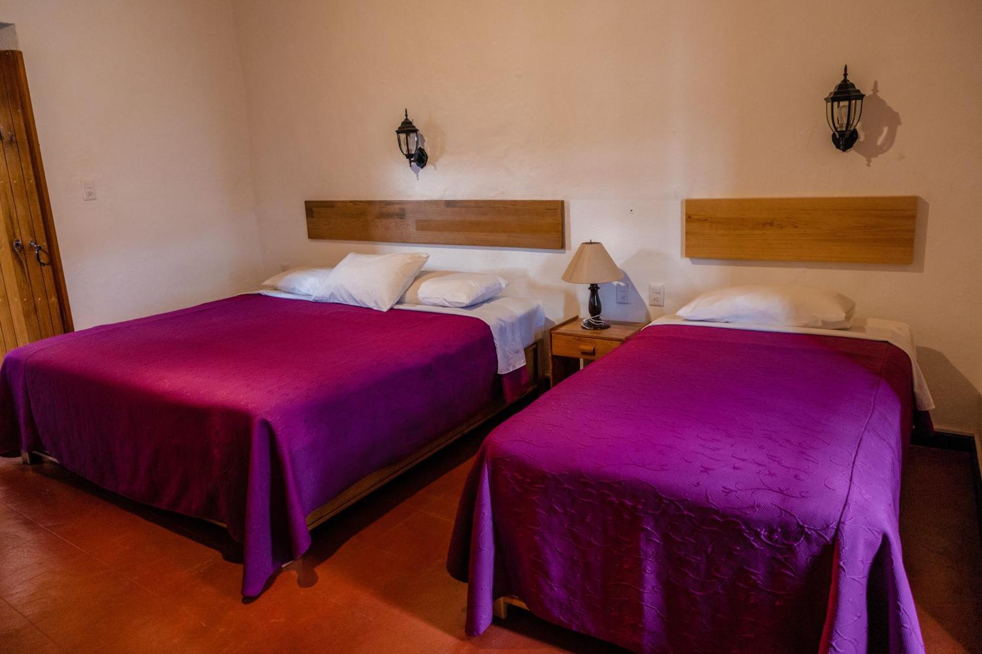Hotel Las Golondrinas Oaxaca 外观 照片