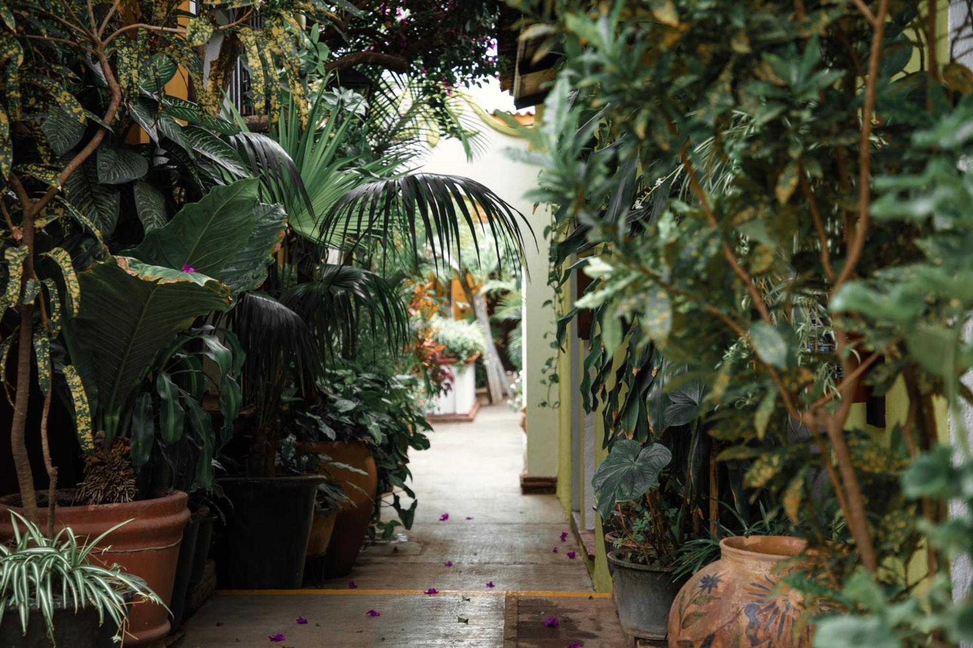 Hotel Las Golondrinas Oaxaca 外观 照片