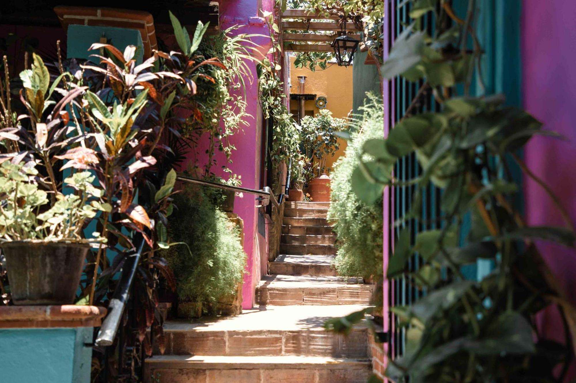 Hotel Las Golondrinas Oaxaca 外观 照片