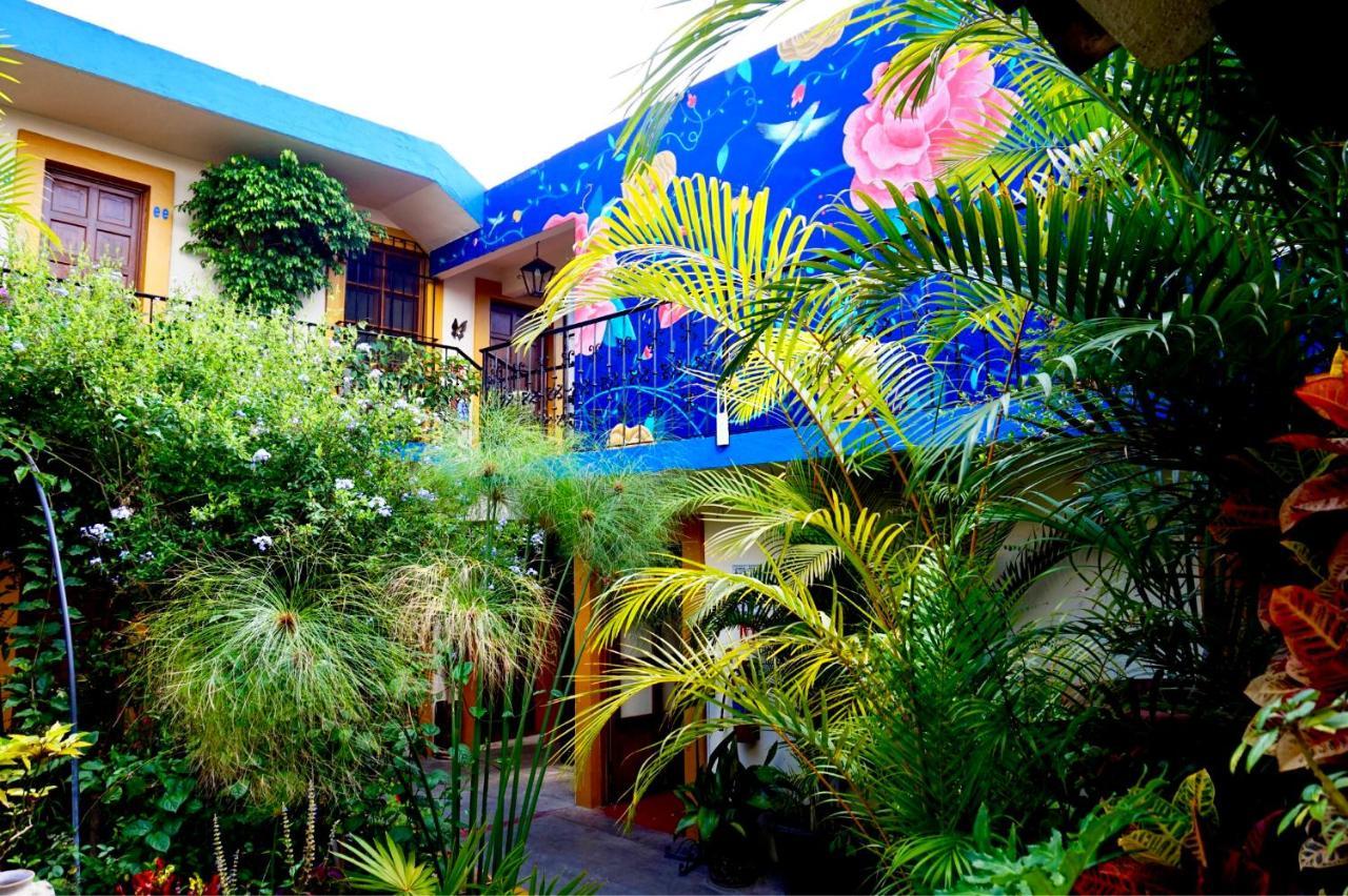 Hotel Las Golondrinas Oaxaca 外观 照片