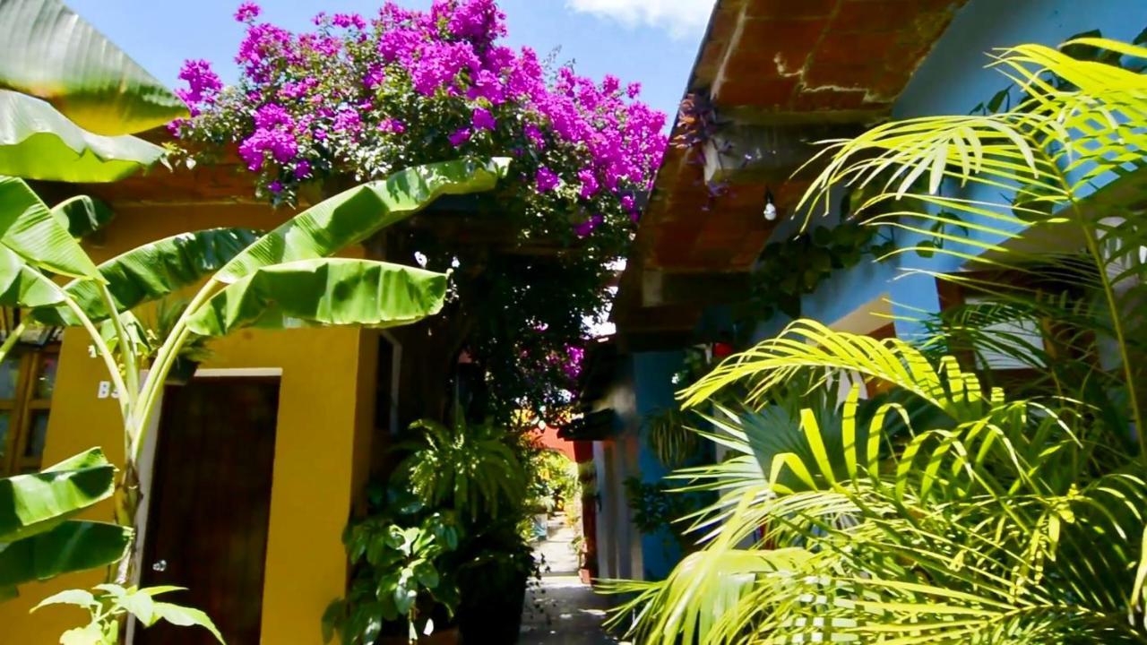 Hotel Las Golondrinas Oaxaca 外观 照片