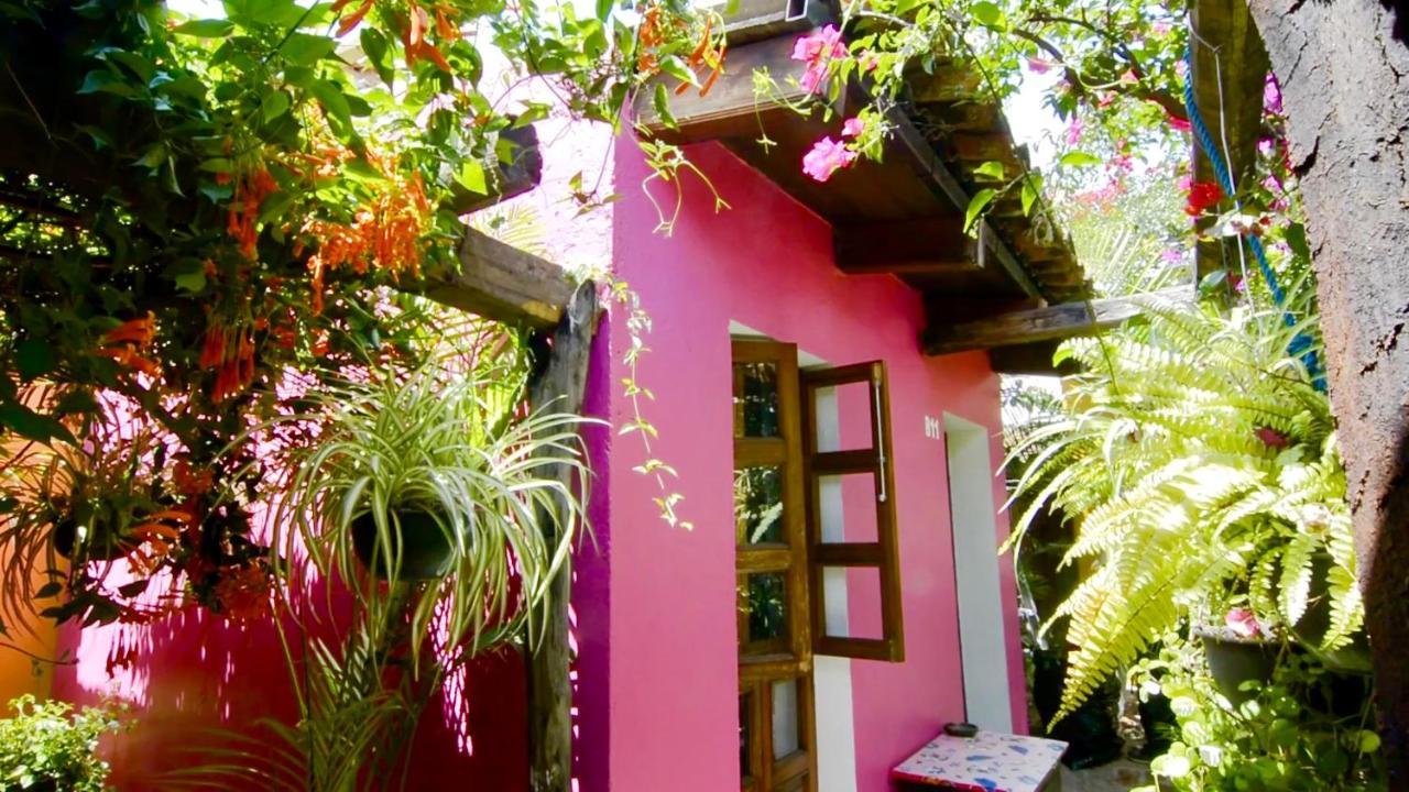 Hotel Las Golondrinas Oaxaca 外观 照片