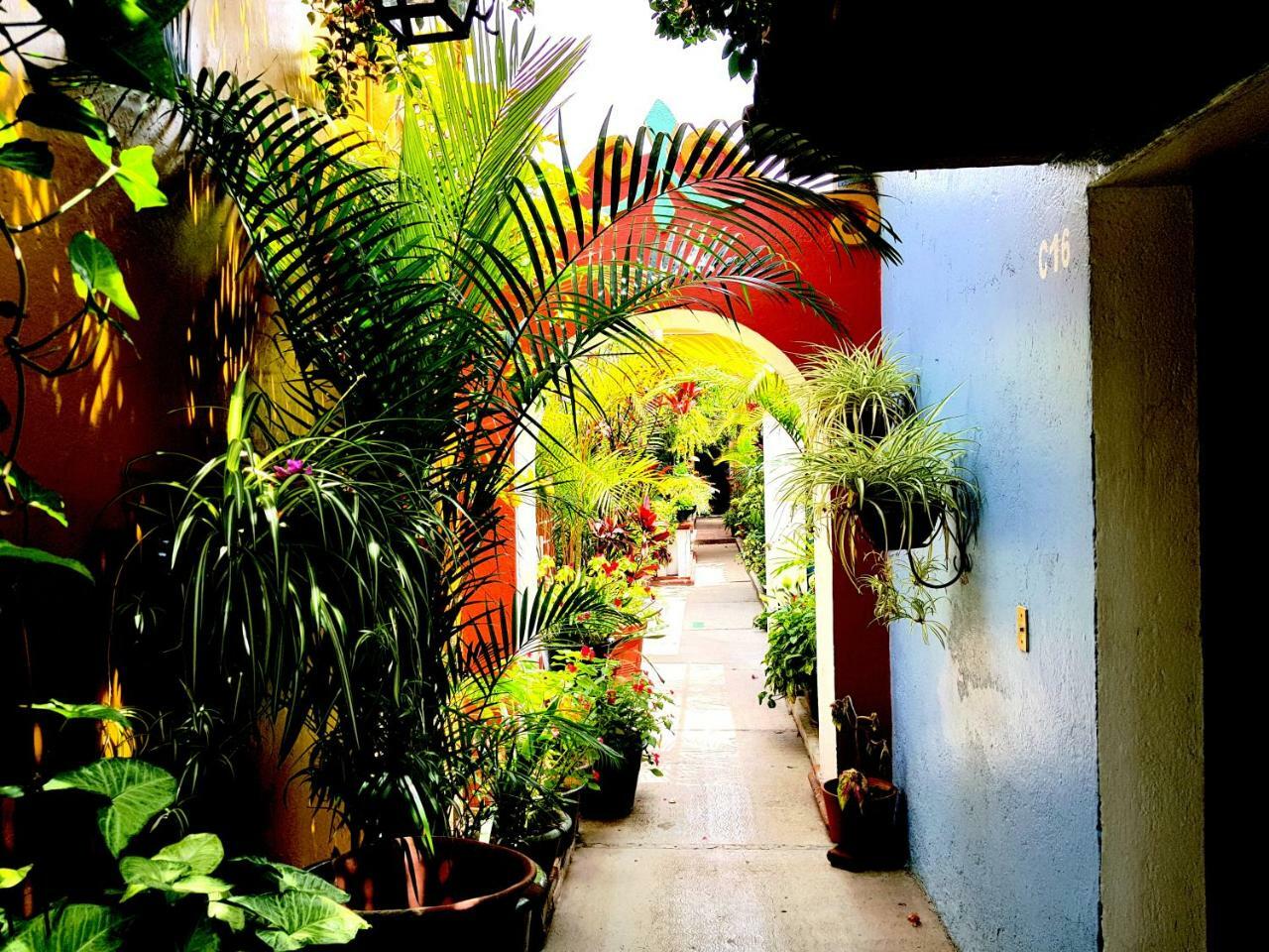 Hotel Las Golondrinas Oaxaca 外观 照片